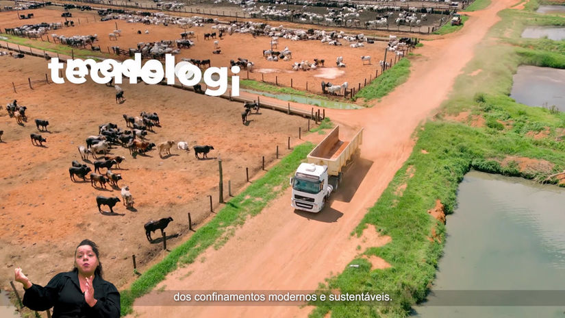 PECUÁRIA EM VILHENA